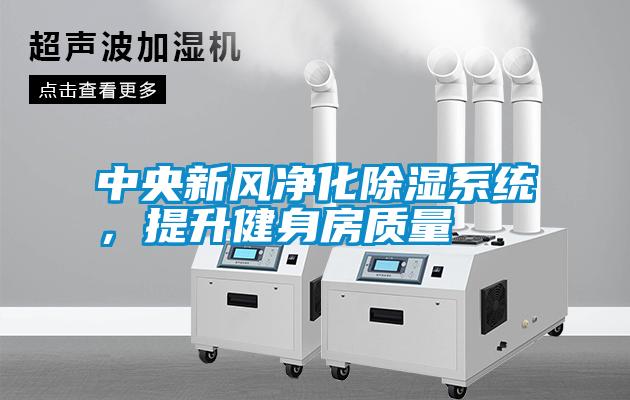 中央新風(fēng)凈化除濕系統(tǒng)<div   id=