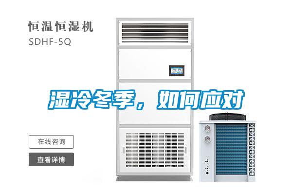 濕冷冬季<div   id=