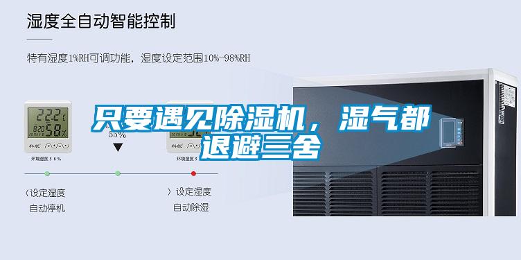 只要遇見除濕機(jī)<div   id=