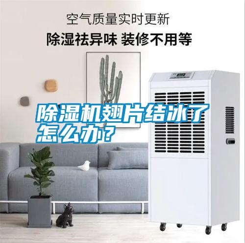 除濕機翅片結冰了怎么辦<div   id=