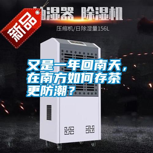 又是一年回南天<div   id=