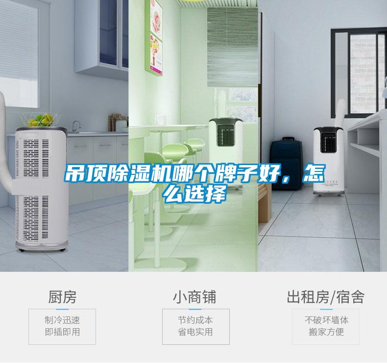 吊頂除濕機(jī)哪個(gè)牌子好<div   id=