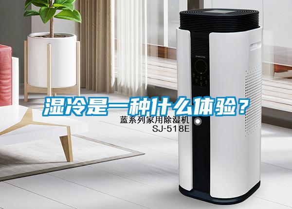 濕冷是一種什么體驗(yàn)?