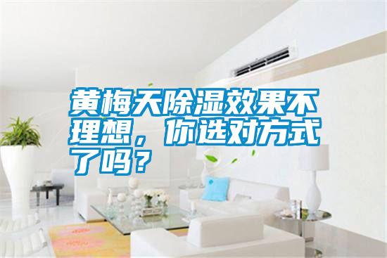 黃梅天除濕效果不理想<div   id=
