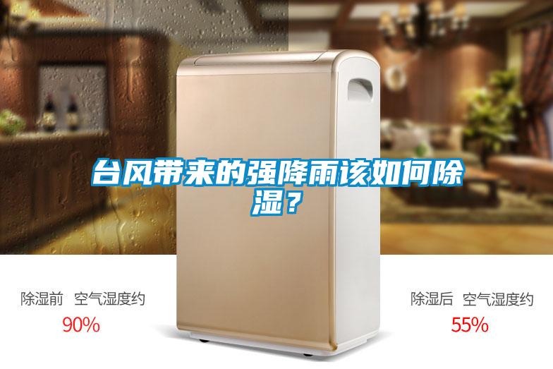 臺風(fēng)帶來的強降雨該如何除濕？
