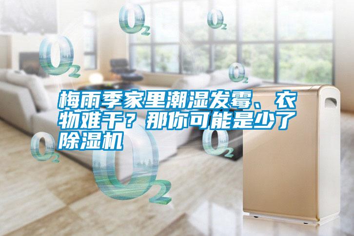 梅雨季家里潮濕發(fā)霉、衣物難干<div   id=