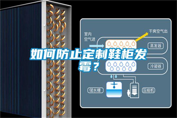 如何防止定制鞋柜發(fā)霉<div   id=