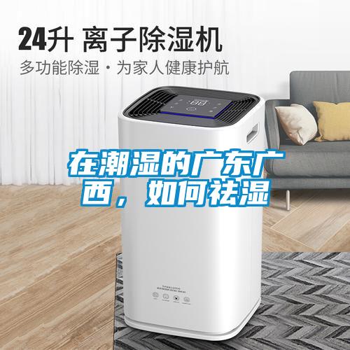 在潮濕的廣東廣西<div   id=