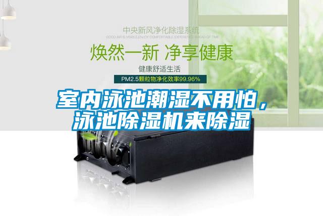 室內(nèi)泳池潮濕不用怕<div   id=