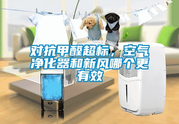 對抗甲醛超標<div   id=