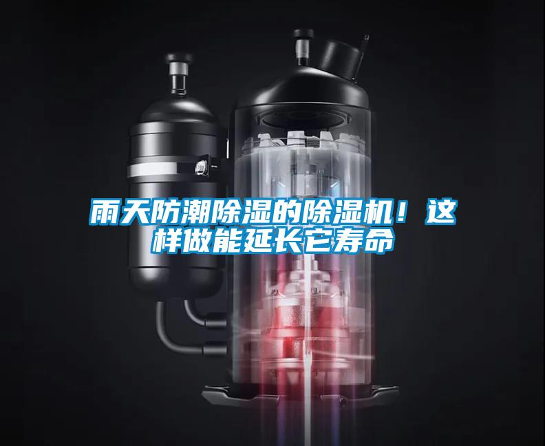 雨天防潮除濕的除濕機<div   id=