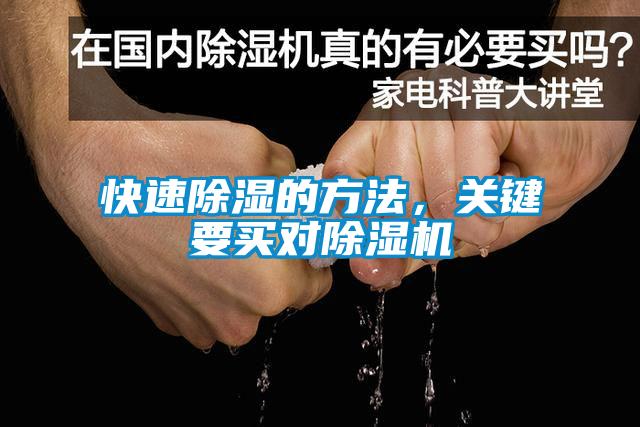 快速除濕的方法<div   id=
