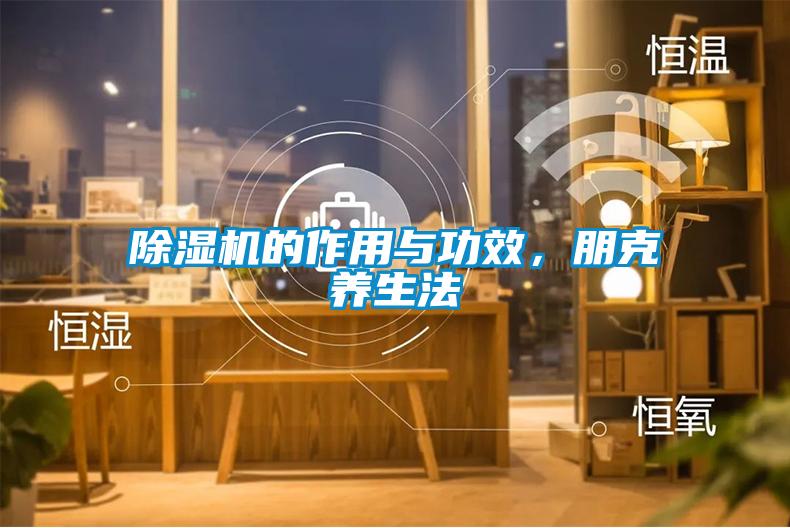 除濕機(jī)的作用與功效<div   id=