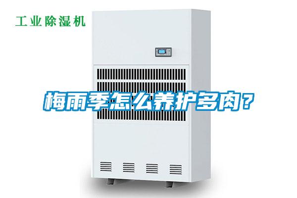 梅雨季怎么養(yǎng)護多肉<div   id=