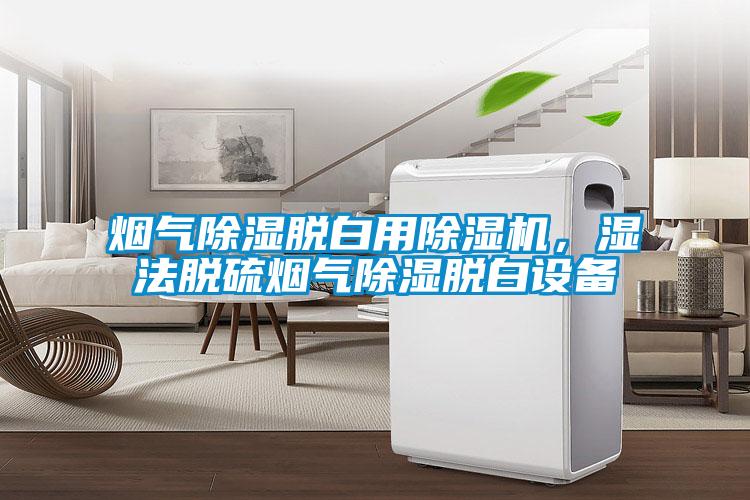 煙氣除濕脫白用除濕機<div   id=