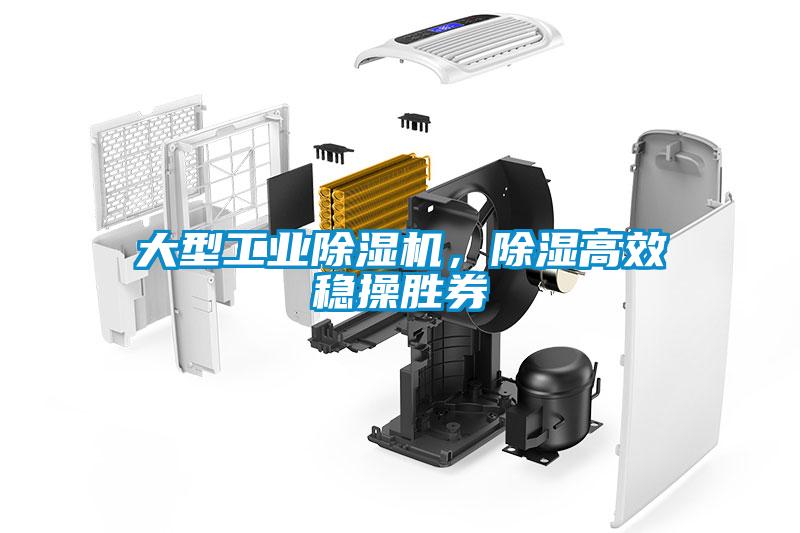 大型工業(yè)除濕機<div   id=