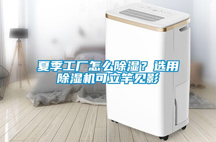 夏季工廠怎么除濕<div   id=