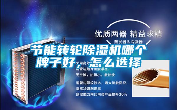節(jié)能轉(zhuǎn)輪除濕機(jī)哪個(gè)牌子好<div   id=