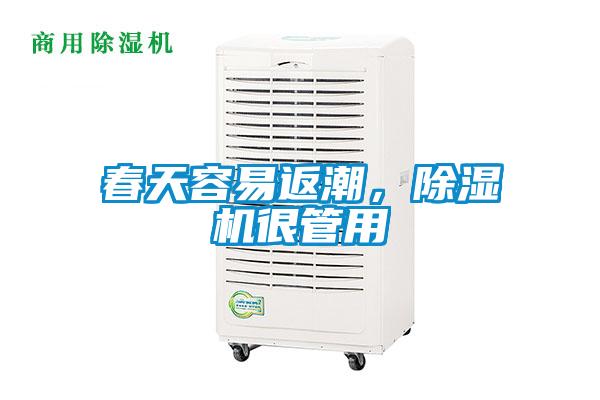 春天容易返潮<div   id=