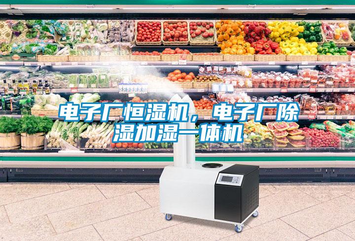 電子廠恒濕機(jī)<div   id=