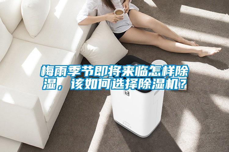 梅雨季節(jié)即將來臨怎樣除濕，該如何選擇除濕機(jī)<div   id=