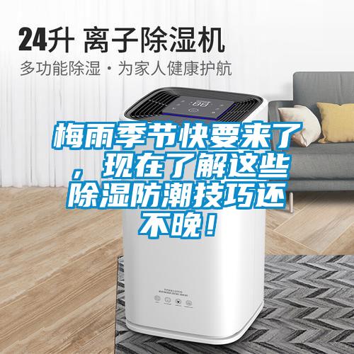梅雨季節(jié)快要來了，現(xiàn)在了解這些除濕防潮技巧還不晚<div   id=