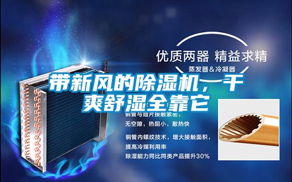 帶新風(fēng)的除濕機(jī)<div   id=