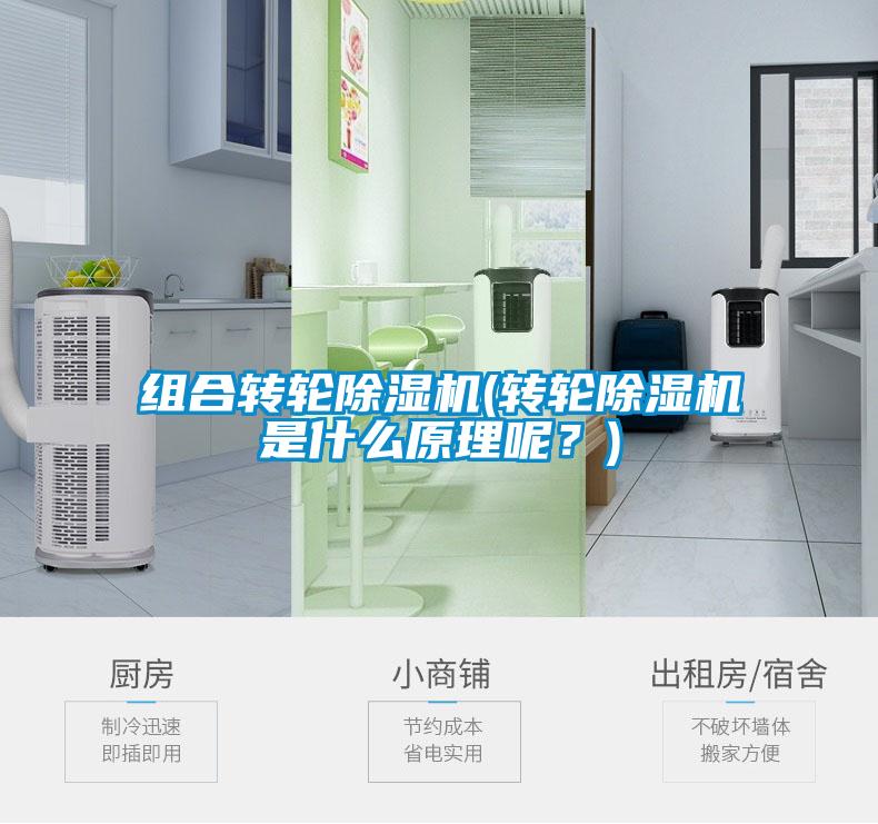 組合轉(zhuǎn)輪除濕機(轉(zhuǎn)輪除濕機是什么原理呢<div   id=