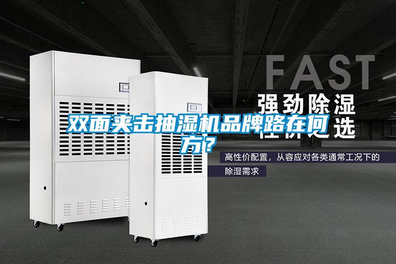 雙面夾擊抽濕機(jī)品牌路在何方<div   id=