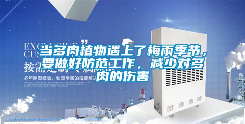 當(dāng)多肉植物遇上了梅雨季節(jié)<div   id=
