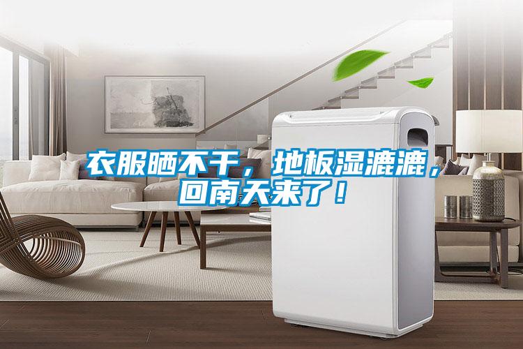 衣服曬不干，地板濕漉漉<div   id=