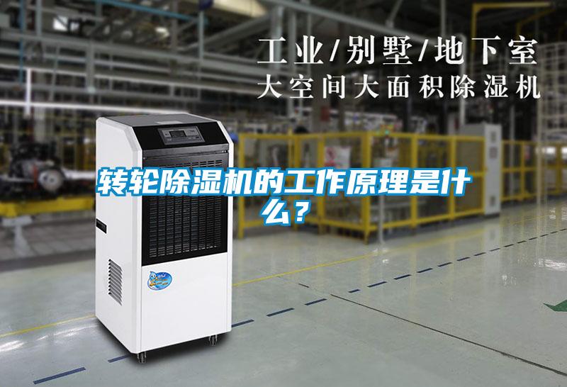 轉(zhuǎn)輪除濕機的工作原理是什么<div   id=