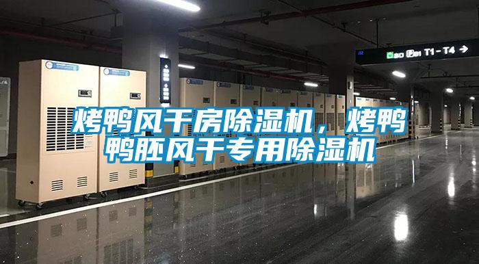 烤鴨風(fēng)干房除濕機(jī)<div   id=