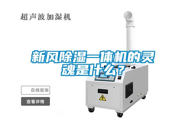 新風(fēng)除濕一體機(jī)的靈魂是什么<div   id=