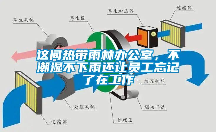 這間熱帶雨林辦公室<div   id=