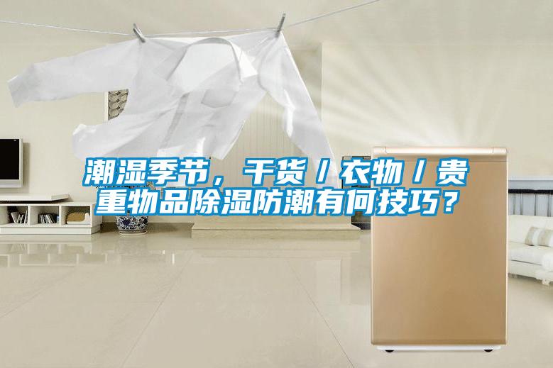 潮濕季節(jié)，干貨／衣物／貴重物品除濕防潮有何技巧<div   id=