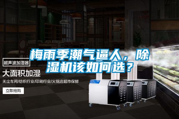 梅雨季潮氣逼人<div   id=