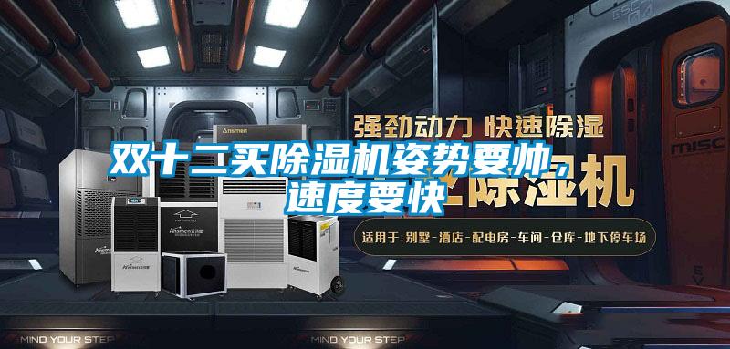 雙十二買除濕機(jī)姿勢(shì)要帥<div   id=