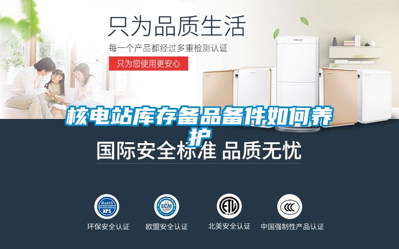 核電站庫存?zhèn)淦穫浼绾勿B(yǎng)護(hù)