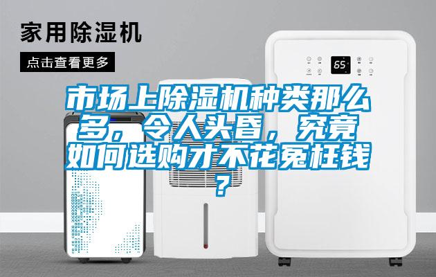 市場上除濕機種類那么多，令人頭昏<div   id=