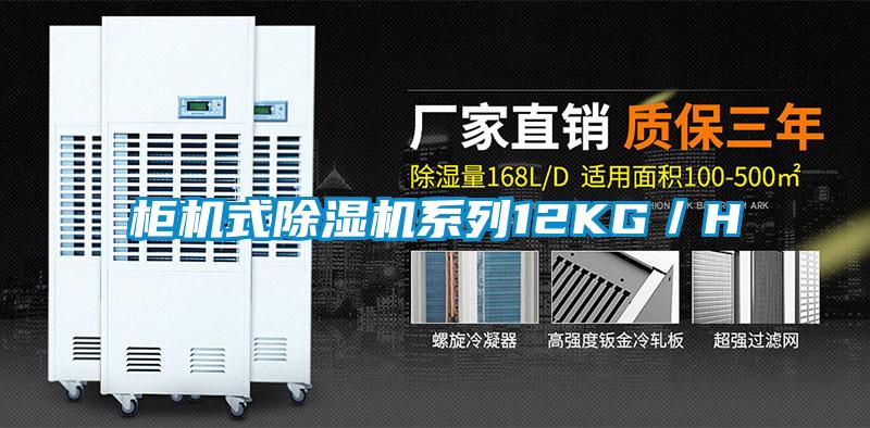 柜機式除濕機系列12KG/H