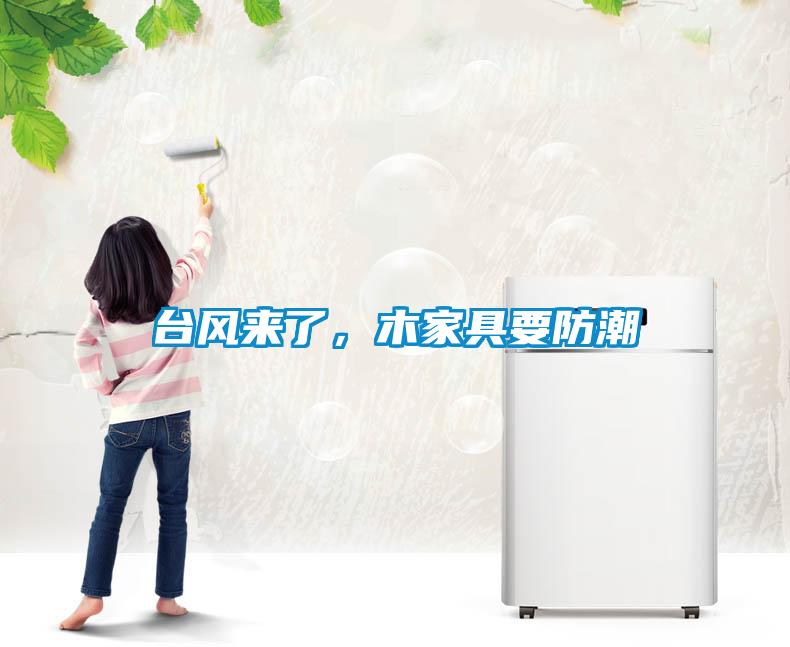 臺風(fēng)來了<div   id=