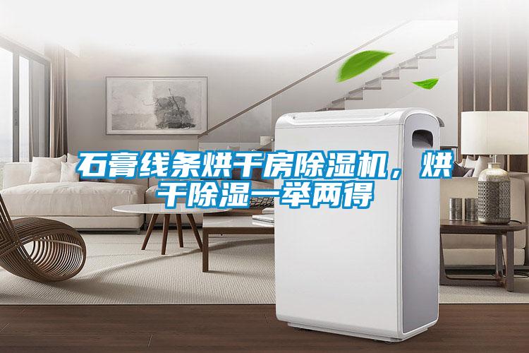 石膏線條烘干房除濕機(jī)<div   id=