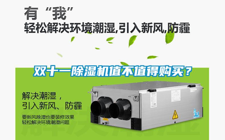 雙十一除濕機值不值得購買<div   id=