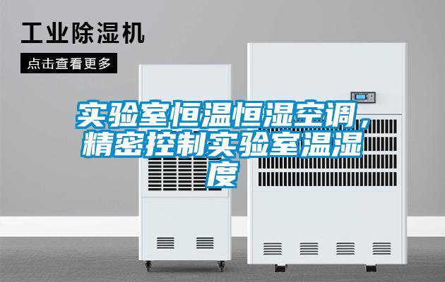 實(shí)驗(yàn)室恒溫恒濕空調(diào)<div   id=