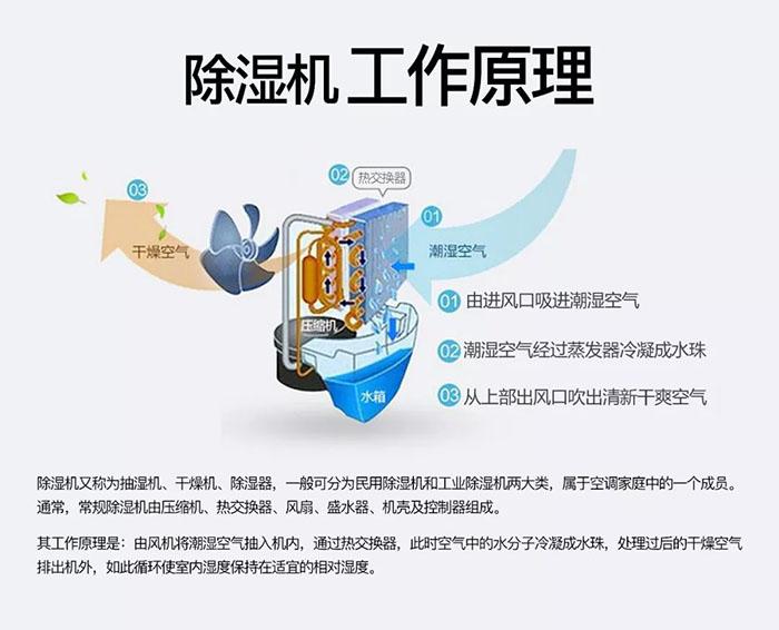 如何買到好的除濕機<div   id=