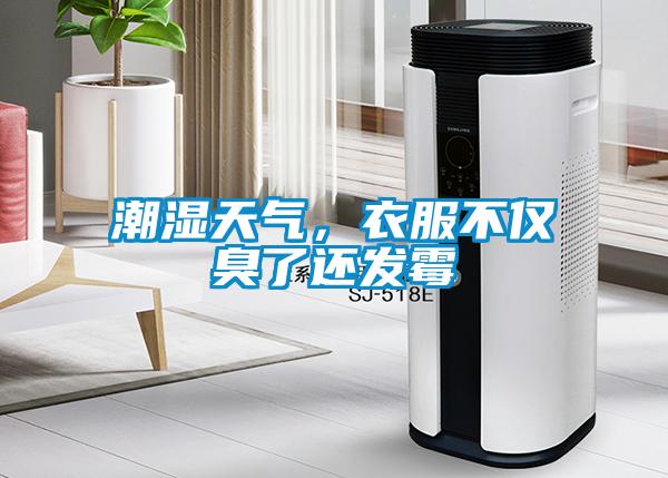 潮濕天氣,衣服不僅臭了還發(fā)霉