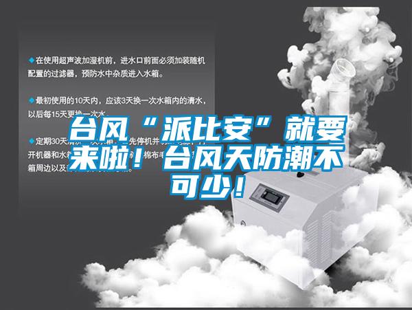 臺風“派比安”就要來啦<div   id=