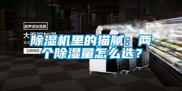 除濕機里的貓膩：兩個除濕量怎么選<div   id=