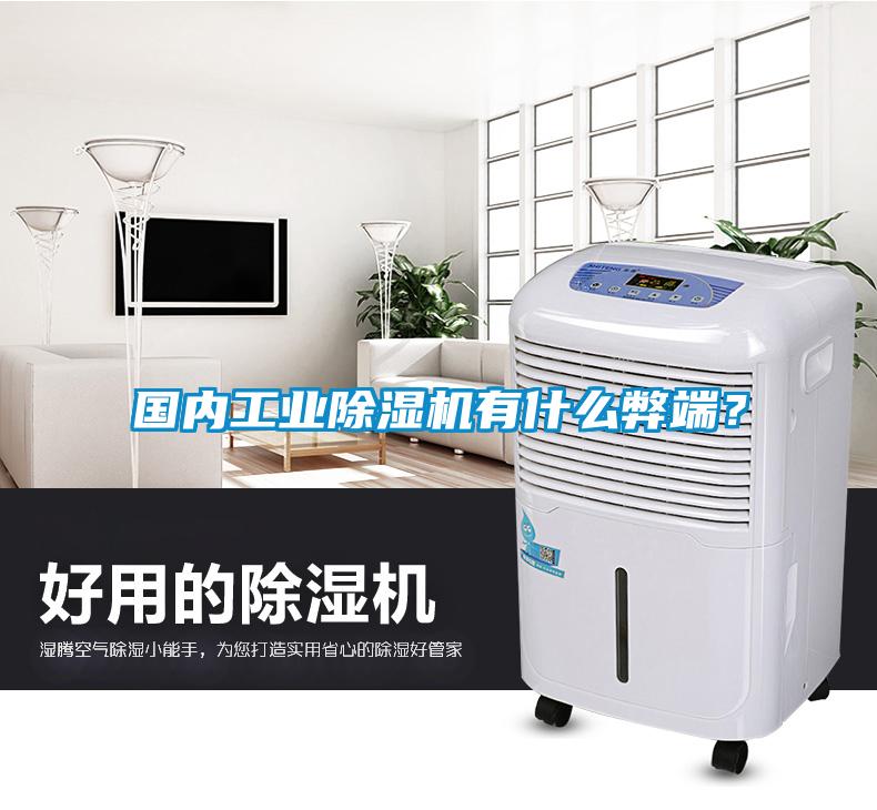 國內(nèi)工業(yè)除濕機(jī)有什么弊端?